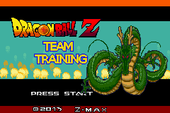 Dragon Ball Z: Team Training