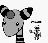 Pokémon Maize 1