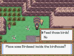 Pokémon Birdcall 2