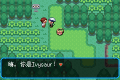 Pokémon Hyper Emerald 807 3
