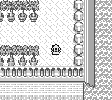 Pokémon The Secret of Cinnabar Mansion 4