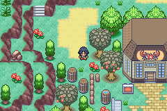 Вид локации в Pokémon Odyssey