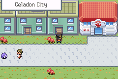 Город Селадон в Pokémon Red and Blue Sequel