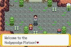 Pokémon Hodgepodge Platoon