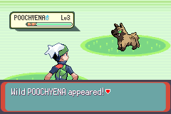 А это в Pokémon Emerald Reshine шайни