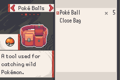 Новая сумка в Pokémon Hearth