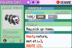 Досье покемона