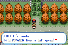 Новое время года