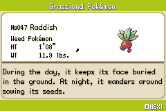 Новая форма покемона