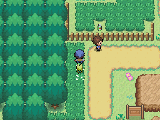 Вид локаций в Pokémon and the Last Wish