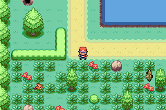 Покемоны на локациях