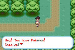Обновлённый лес в Pokémon Cope
