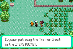 Новый предмет в Pokémon Lithium