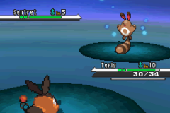 Pokémon Blaze Black