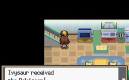 Pokémon HGSS Golden