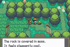 Pokémon Pure Heart & Pokémon True Soul